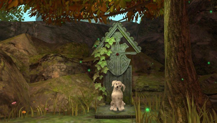 Pet (1)