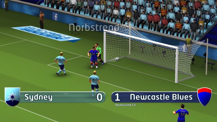 Sociable Soccer