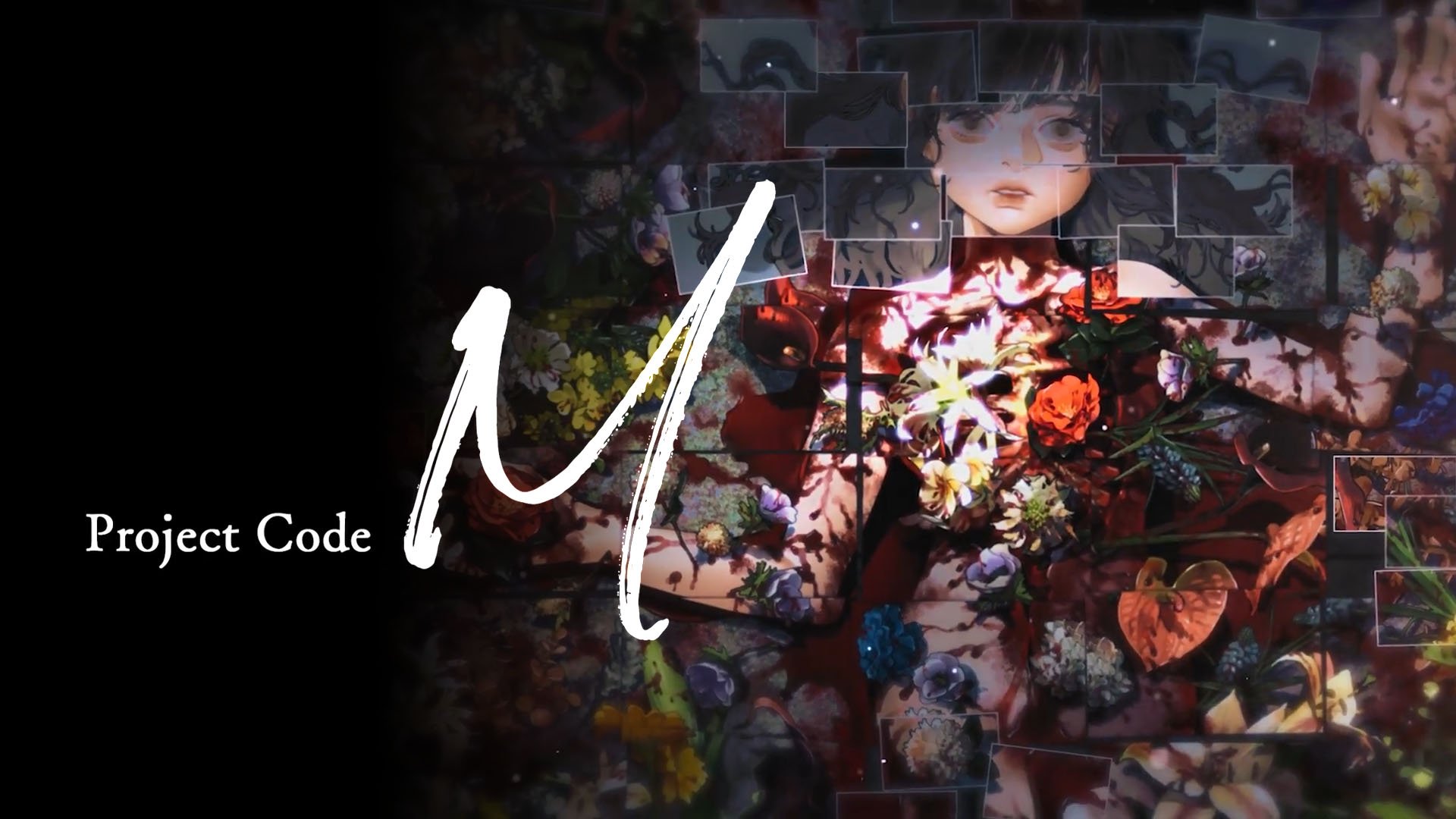 Project Code M